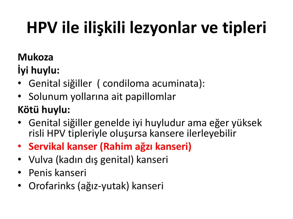 Human Papillomavirus Hpv Ppt Indir